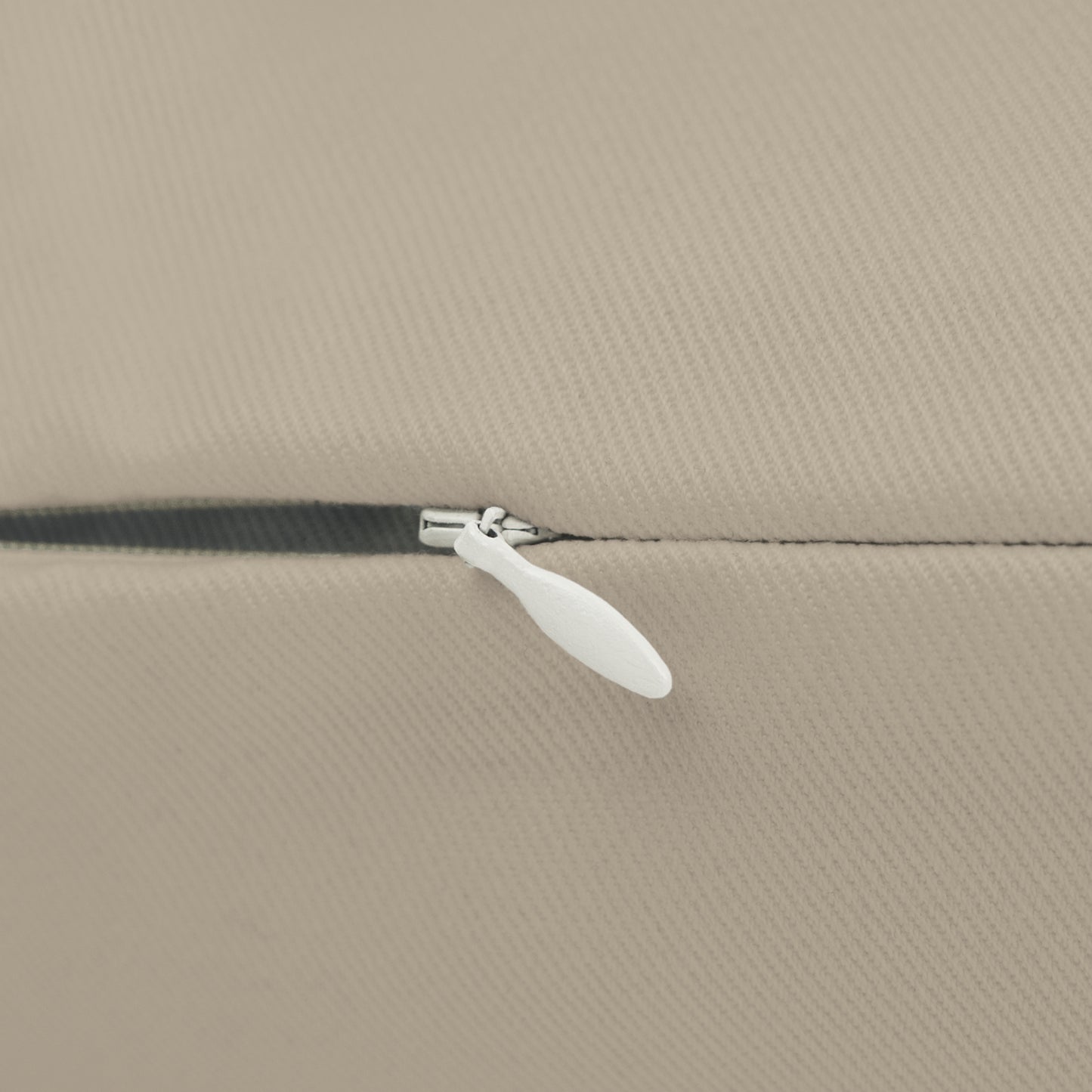 Recollections May Vary (Front) & Rebrand. Manifest. Repeat. (Back) 2 Sided Pillow