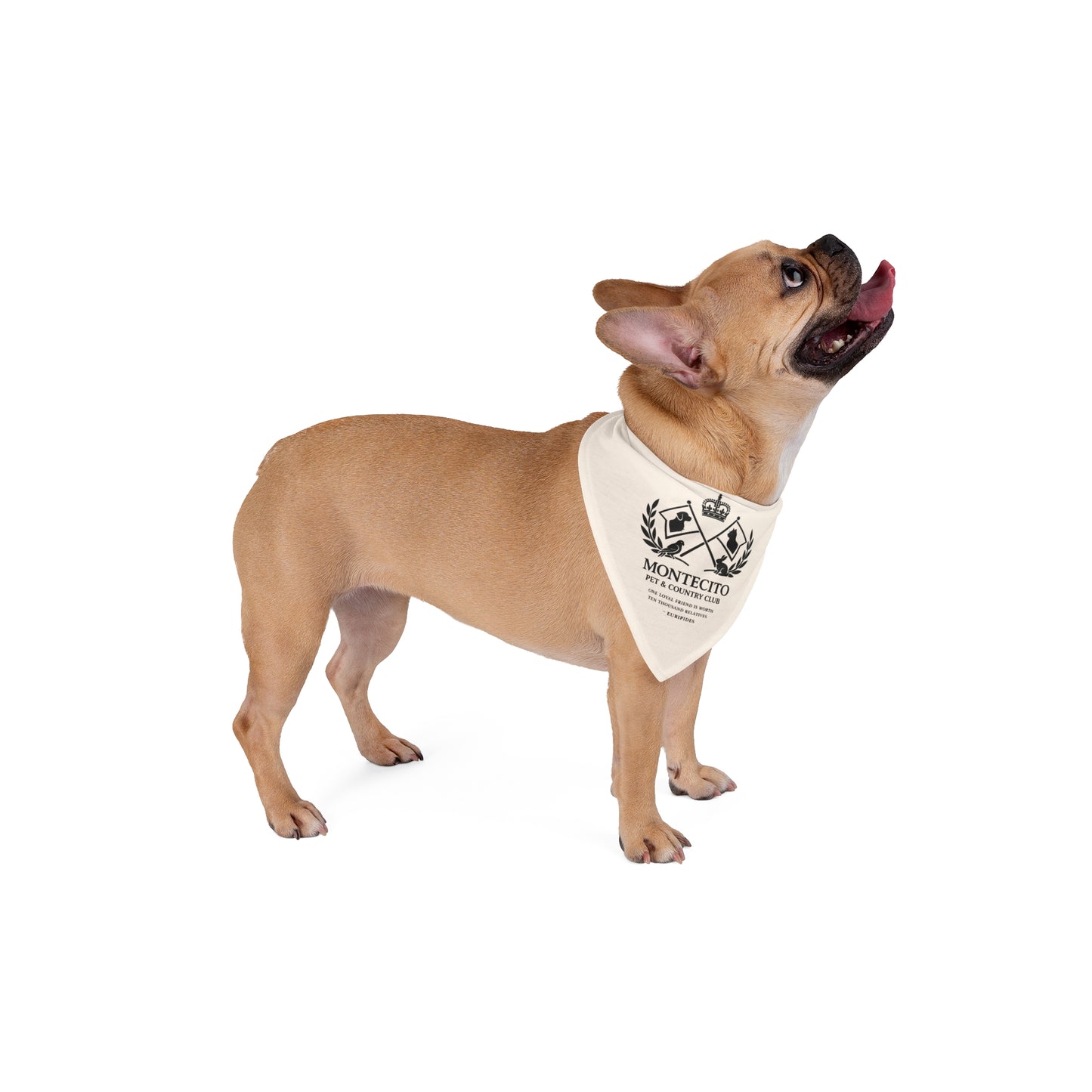 Montecito Pet & Country Club Bandana