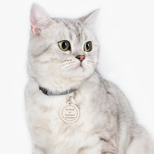 No need to announce greatness. Meowtecito Minimalist Pet Tag